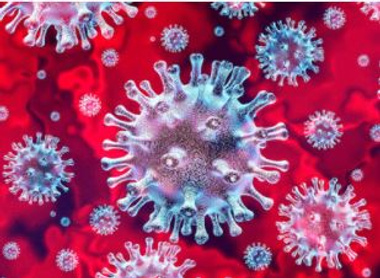 virus.JPG