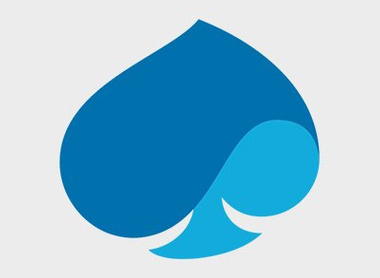 Capgemini logo.jpg