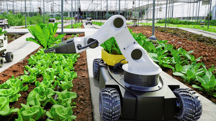 seizing the robotics.jpg