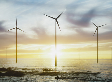 Environment-green-power-energy-sundown-365113308-web-1500px.jpg